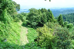 kasugayama308.jpg